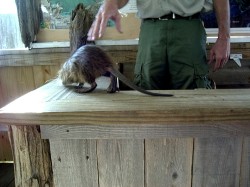 Thumbs/tn_8-2-02 Cypress Swamp Tour 13.jpg